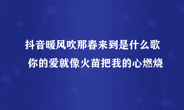 抖音暖风吹那春来到是什么歌 你的爱就像火苗把我的心燃烧