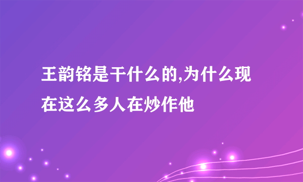 王韵铭是干什么的,为什么现在这么多人在炒作他