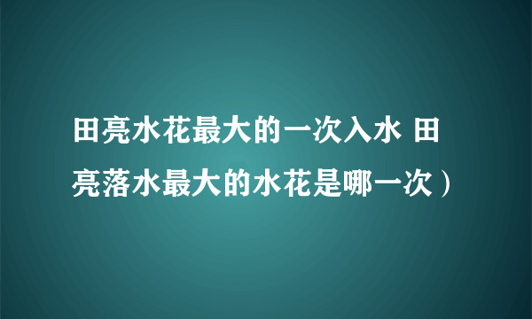 田亮水花最大的一次入水 田亮落水最大的水花是哪一次）