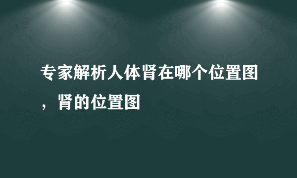 专家解析人体肾在哪个位置图，肾的位置图