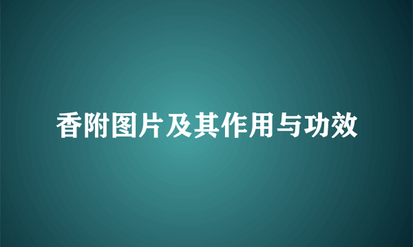 香附图片及其作用与功效