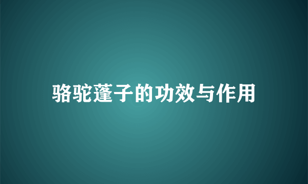 骆驼蓬子的功效与作用