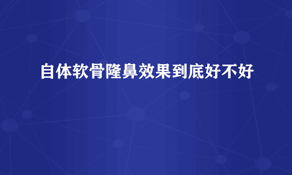 自体软骨隆鼻效果到底好不好