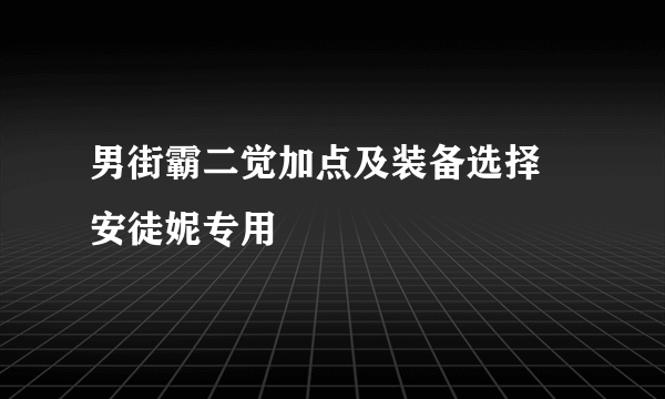 男街霸二觉加点及装备选择 安徒妮专用