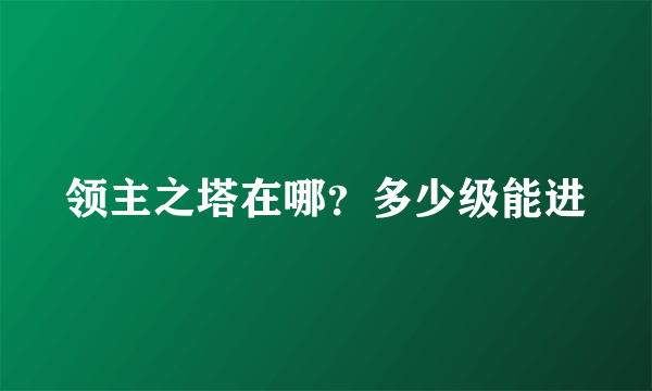 领主之塔在哪？多少级能进