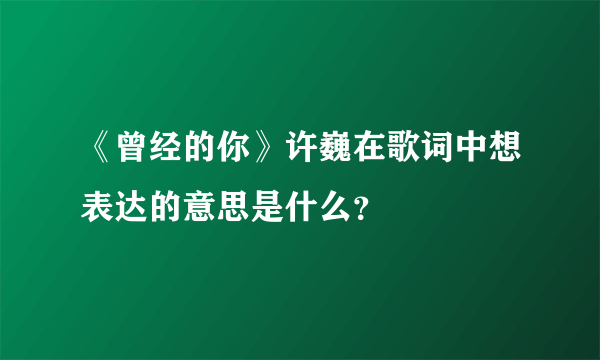 《曾经的你》许巍在歌词中想表达的意思是什么？