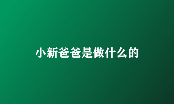 小新爸爸是做什么的