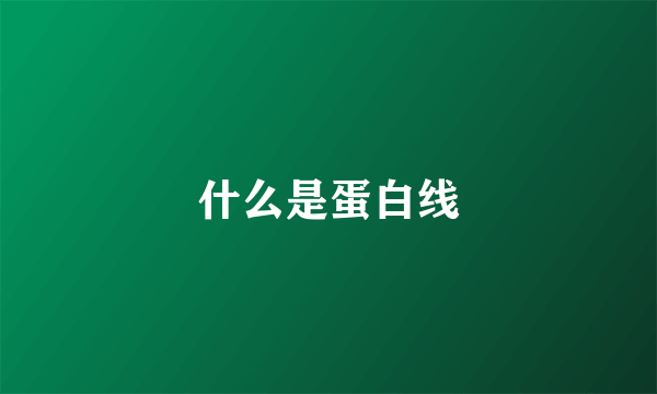 什么是蛋白线