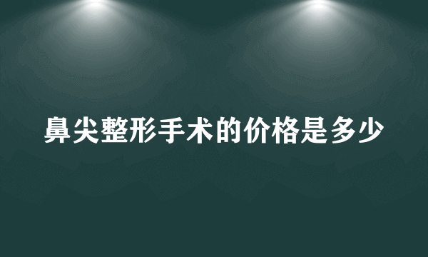 鼻尖整形手术的价格是多少