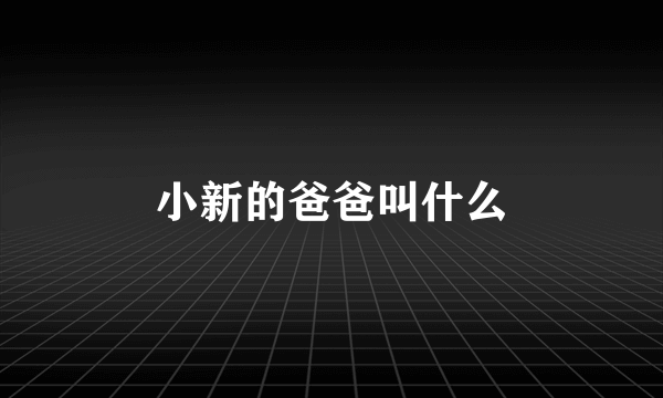 小新的爸爸叫什么