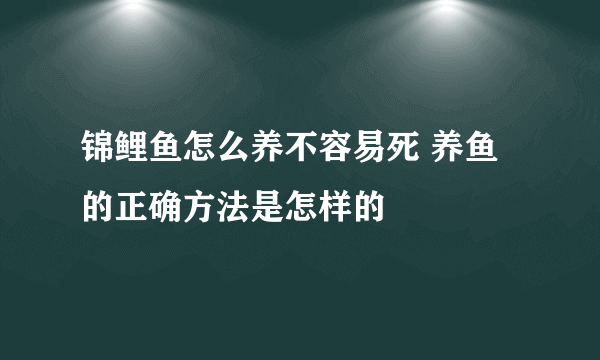 锦鲤鱼怎么养不容易死 养鱼的正确方法是怎样的