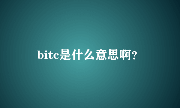 bitc是什么意思啊？