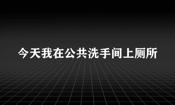 今天我在公共洗手间上厕所