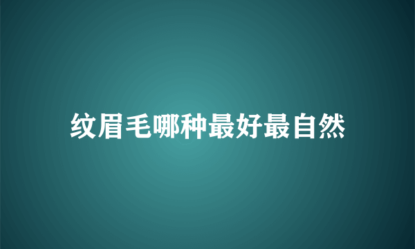 纹眉毛哪种最好最自然