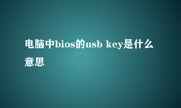 电脑中bios的usb key是什么意思