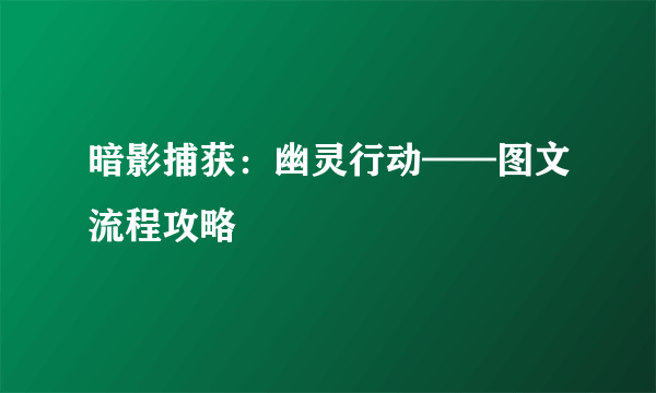 暗影捕获：幽灵行动——图文流程攻略