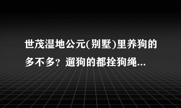 世茂湿地公元(别墅)里养狗的多不多？遛狗的都拴狗绳吗？有流浪宠物吗？