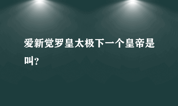 爱新觉罗皇太极下一个皇帝是叫？