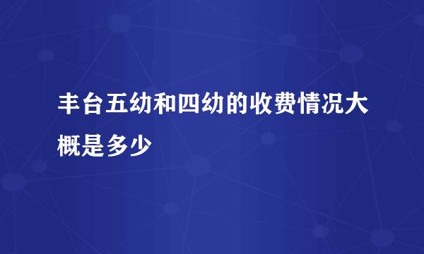 丰台五幼和四幼的收费情况大概是多少