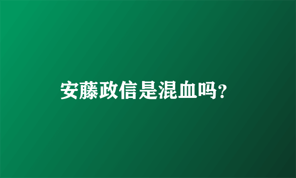 安藤政信是混血吗？