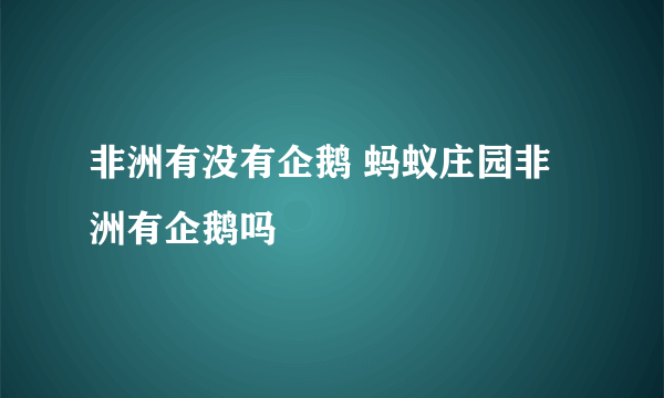 非洲有没有企鹅 蚂蚁庄园非洲有企鹅吗