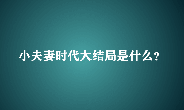 小夫妻时代大结局是什么？