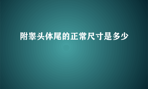 附睾头体尾的正常尺寸是多少