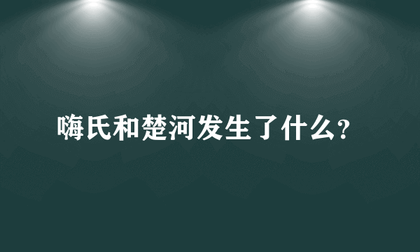 嗨氏和楚河发生了什么？