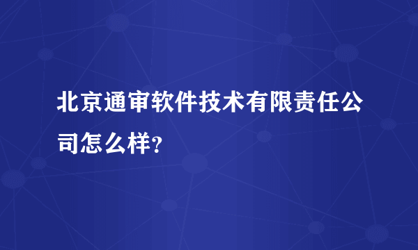 北京通审软件技术有限责任公司怎么样？