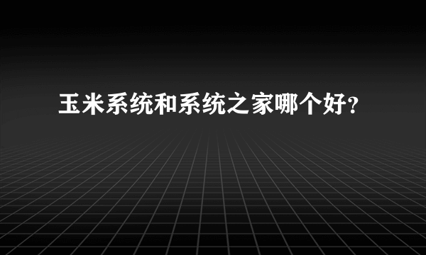 玉米系统和系统之家哪个好？