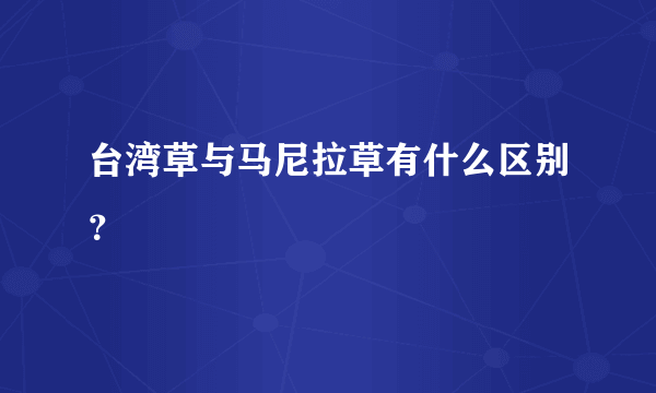 台湾草与马尼拉草有什么区别？