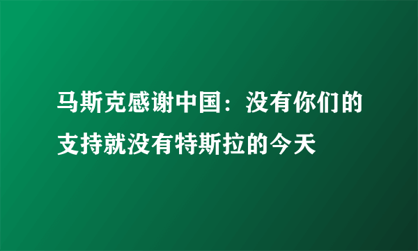 马斯克感谢中国：没有你们的支持就没有特斯拉的今天