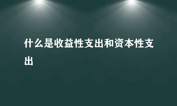 什么是收益性支出和资本性支出