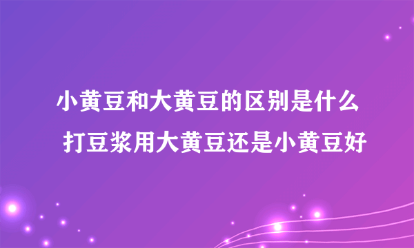 小黄豆和大黄豆的区别是什么 打豆浆用大黄豆还是小黄豆好