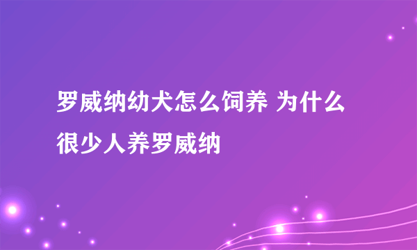 罗威纳幼犬怎么饲养 为什么很少人养罗威纳