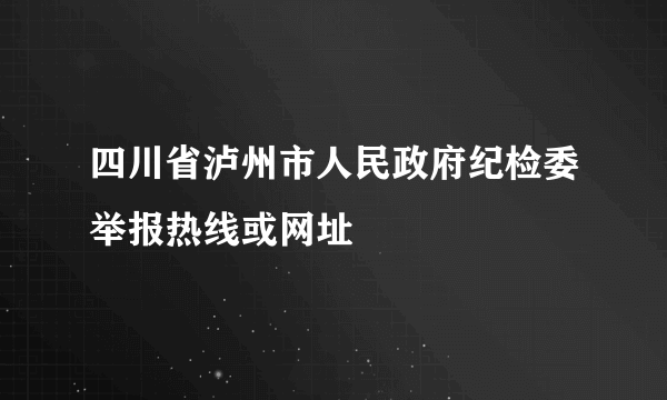 四川省泸州市人民政府纪检委举报热线或网址