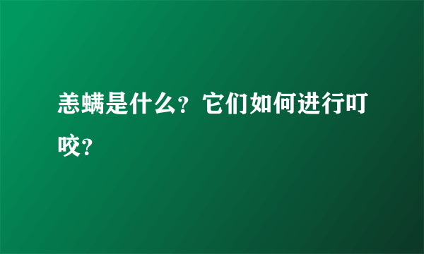 恙螨是什么？它们如何进行叮咬？