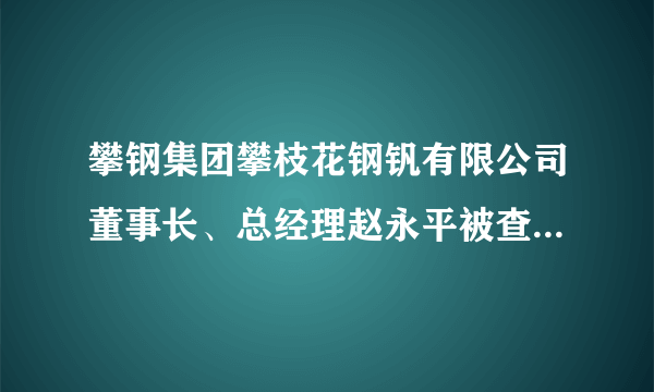 攀钢集团攀枝花钢钒有限公司董事长、总经理赵永平被查(图｜简历)