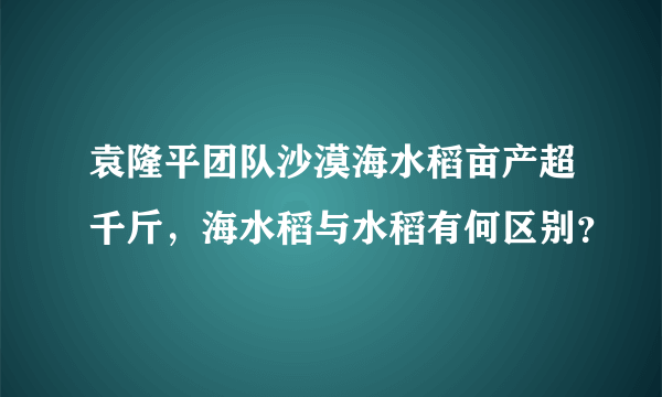 袁隆平团队沙漠海水稻亩产超千斤，海水稻与水稻有何区别？