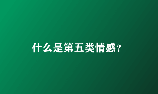 什么是第五类情感？