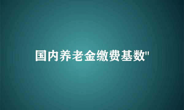 国内养老金缴费基数