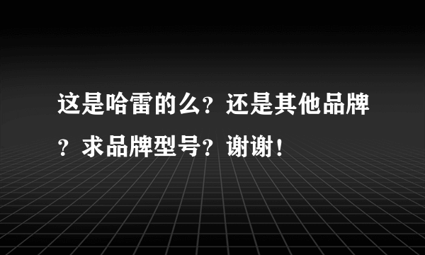 这是哈雷的么？还是其他品牌？求品牌型号？谢谢！