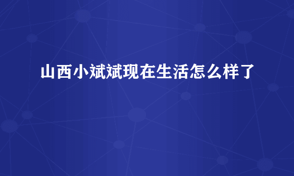 山西小斌斌现在生活怎么样了