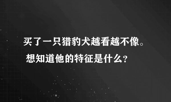 买了一只猎豹犬越看越不像。 想知道他的特征是什么？