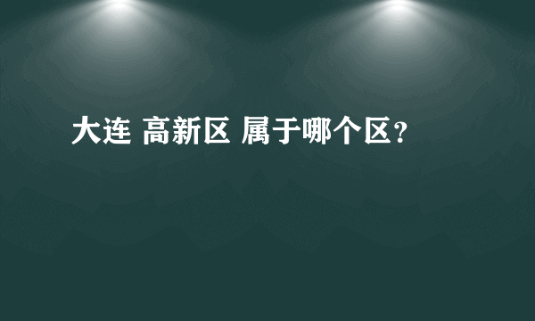 大连 高新区 属于哪个区？