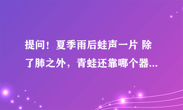 提问！夏季雨后蛙声一片 除了肺之外，青蛙还靠哪个器官来呼吸？