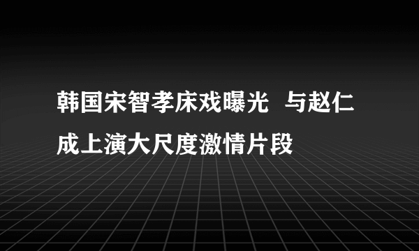 韩国宋智孝床戏曝光  与赵仁成上演大尺度激情片段