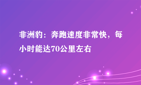 非洲豹：奔跑速度非常快，每小时能达70公里左右