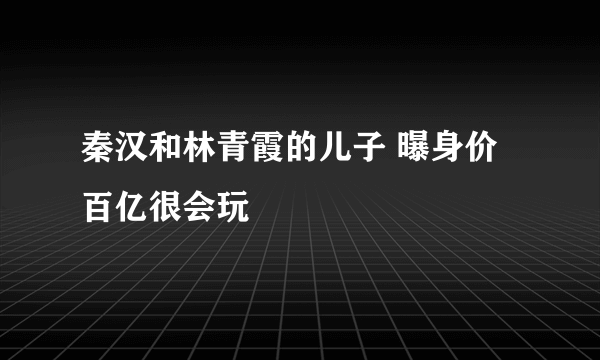 秦汉和林青霞的儿子 曝身价百亿很会玩