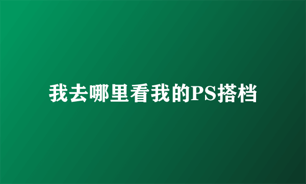 我去哪里看我的PS搭档